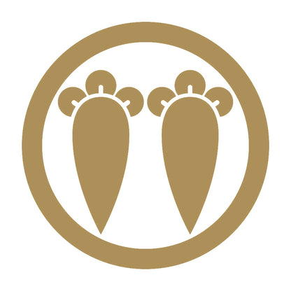 丸に並び丁字紋 9