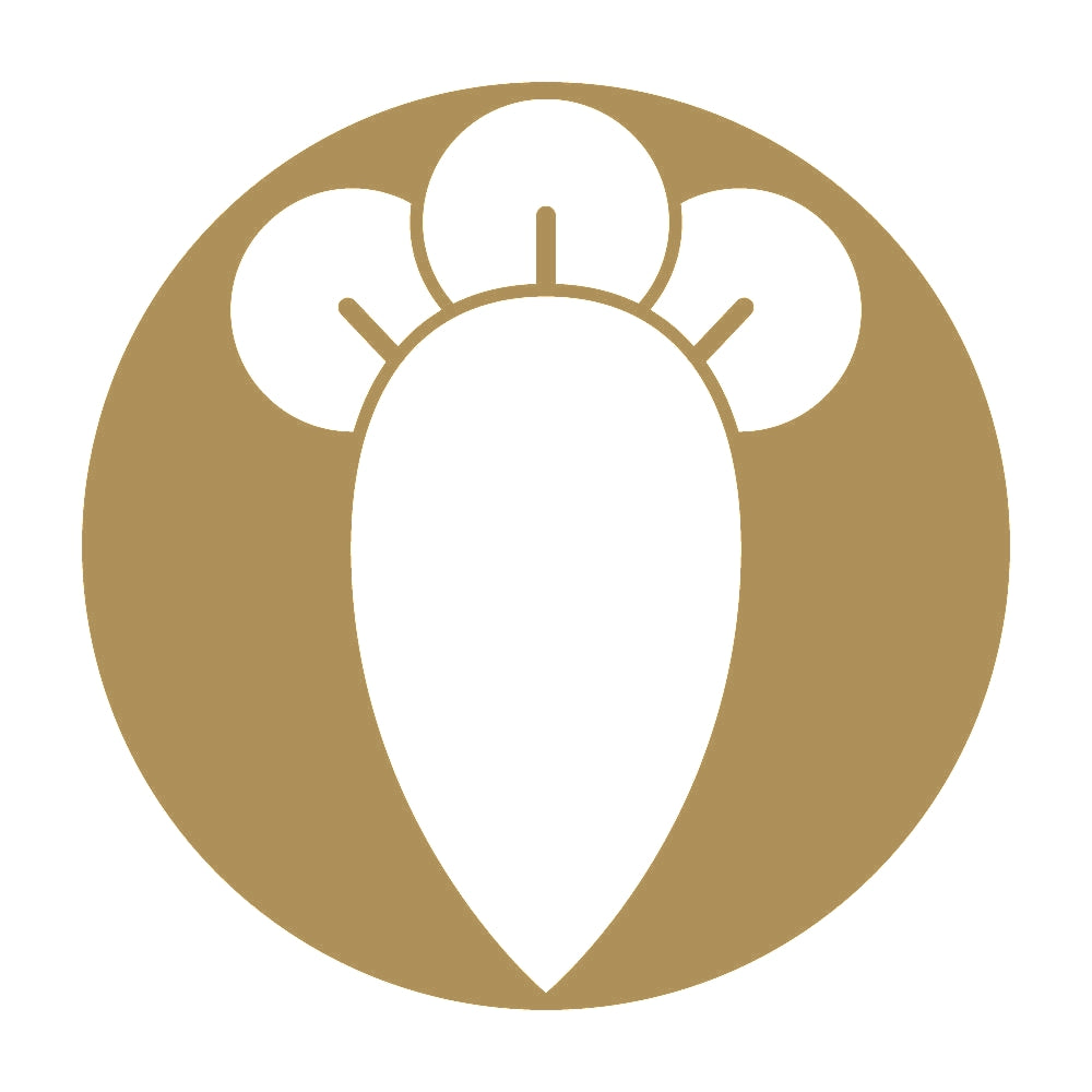 石持ち地抜き一つ丁字紋 9