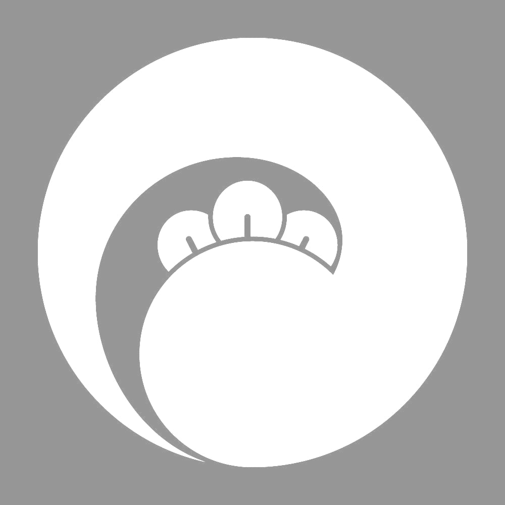 左一つ丁字巴紋 7
