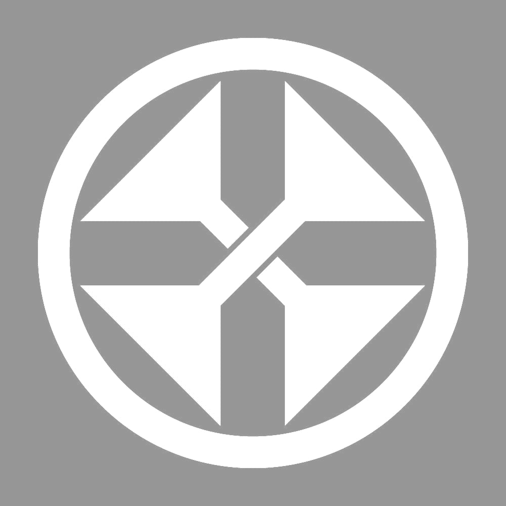 中輪に変わり違い千切り紋 7