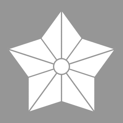 麻の葉桔梗紋 7