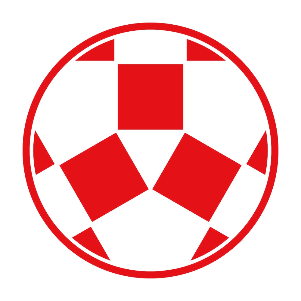 糸輪に三つ割り石紋 8