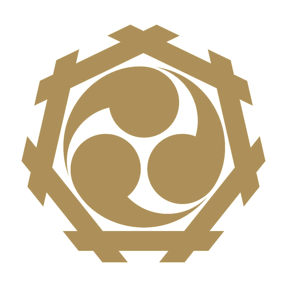 七角井筒に三つ巴紋 9