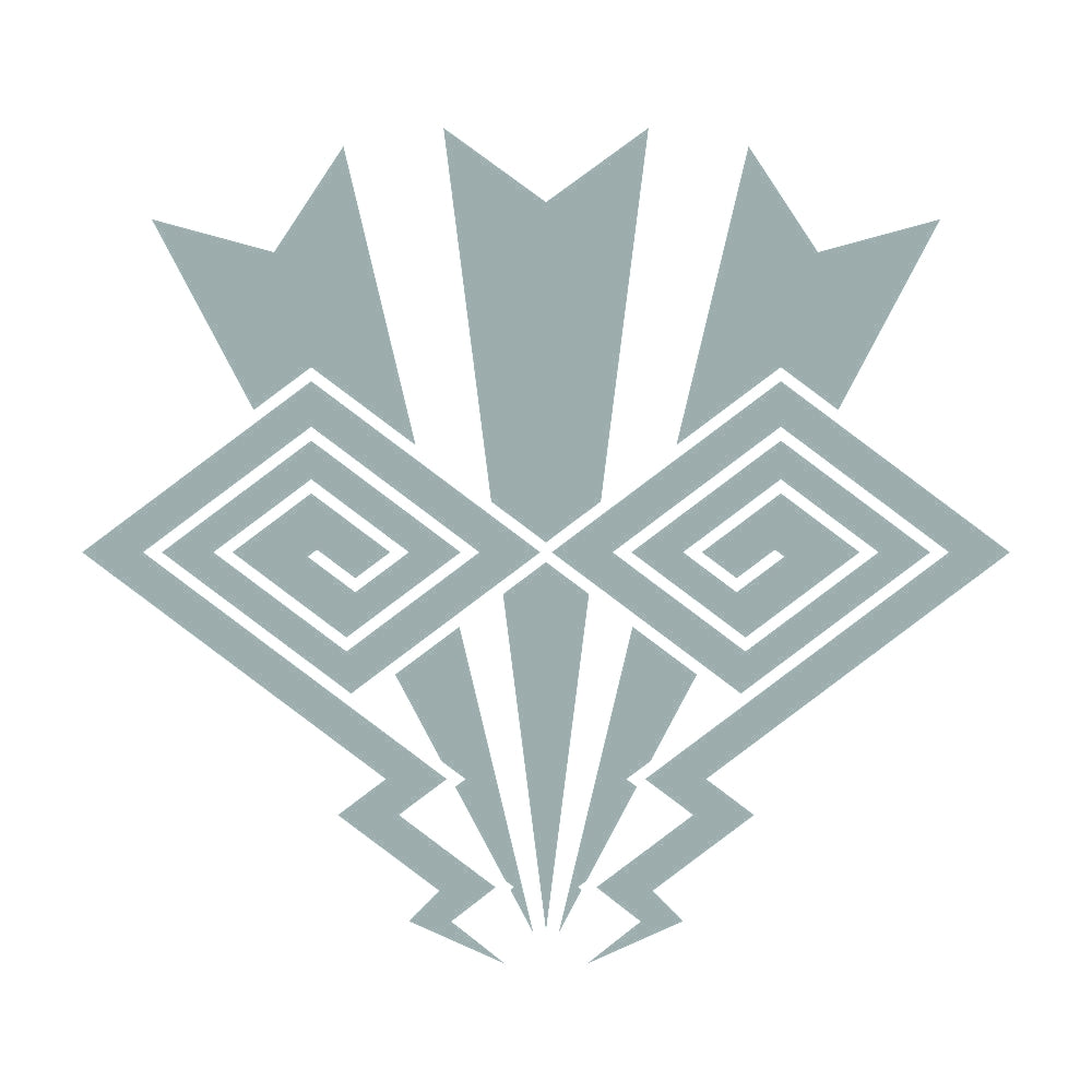 電光稲妻紋 10