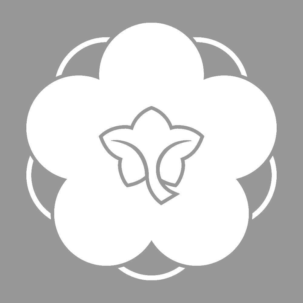 陰陽裏梅紋 7