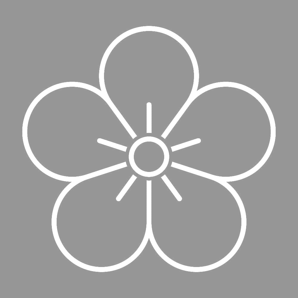 陰梅の花紋 7