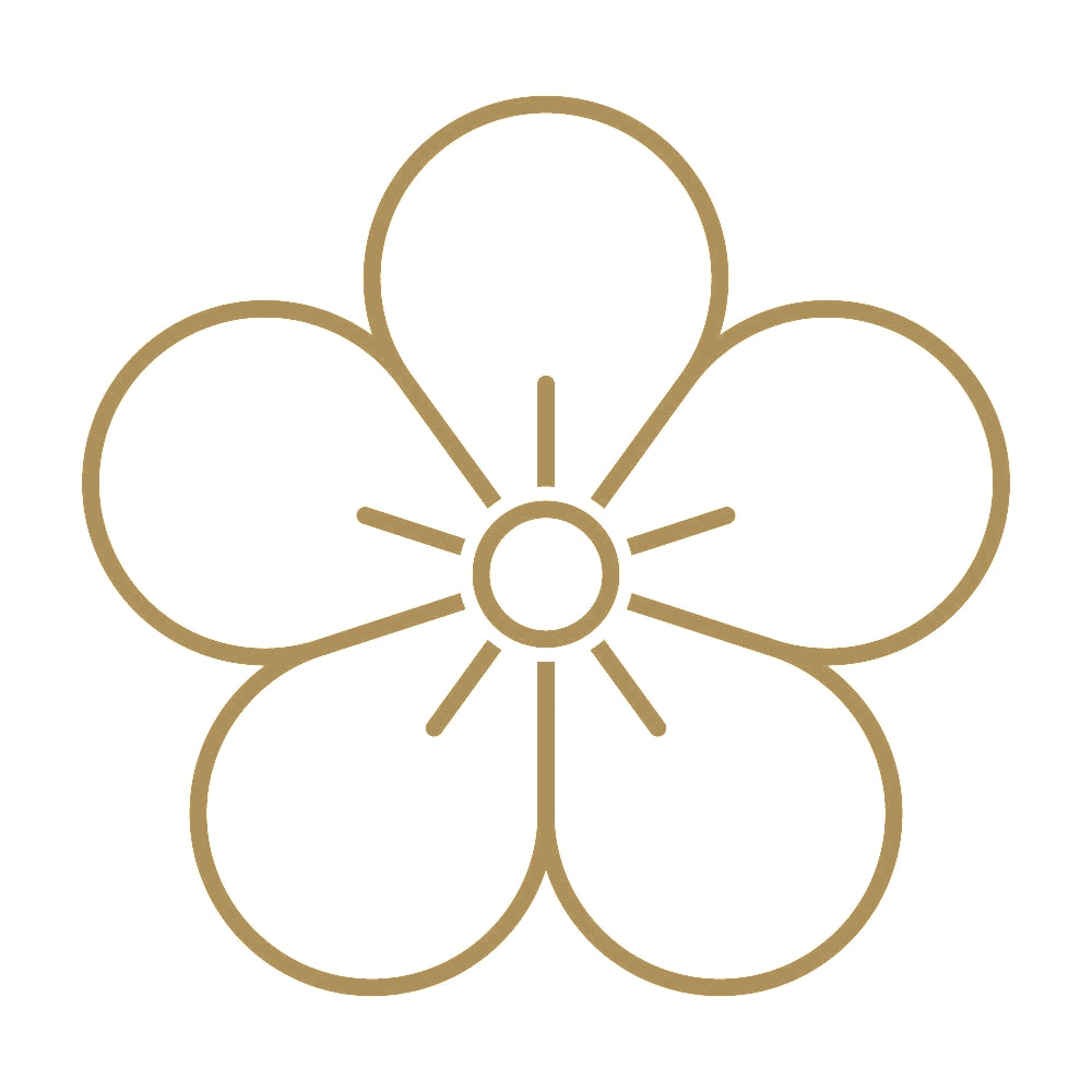 陰梅の花紋 9