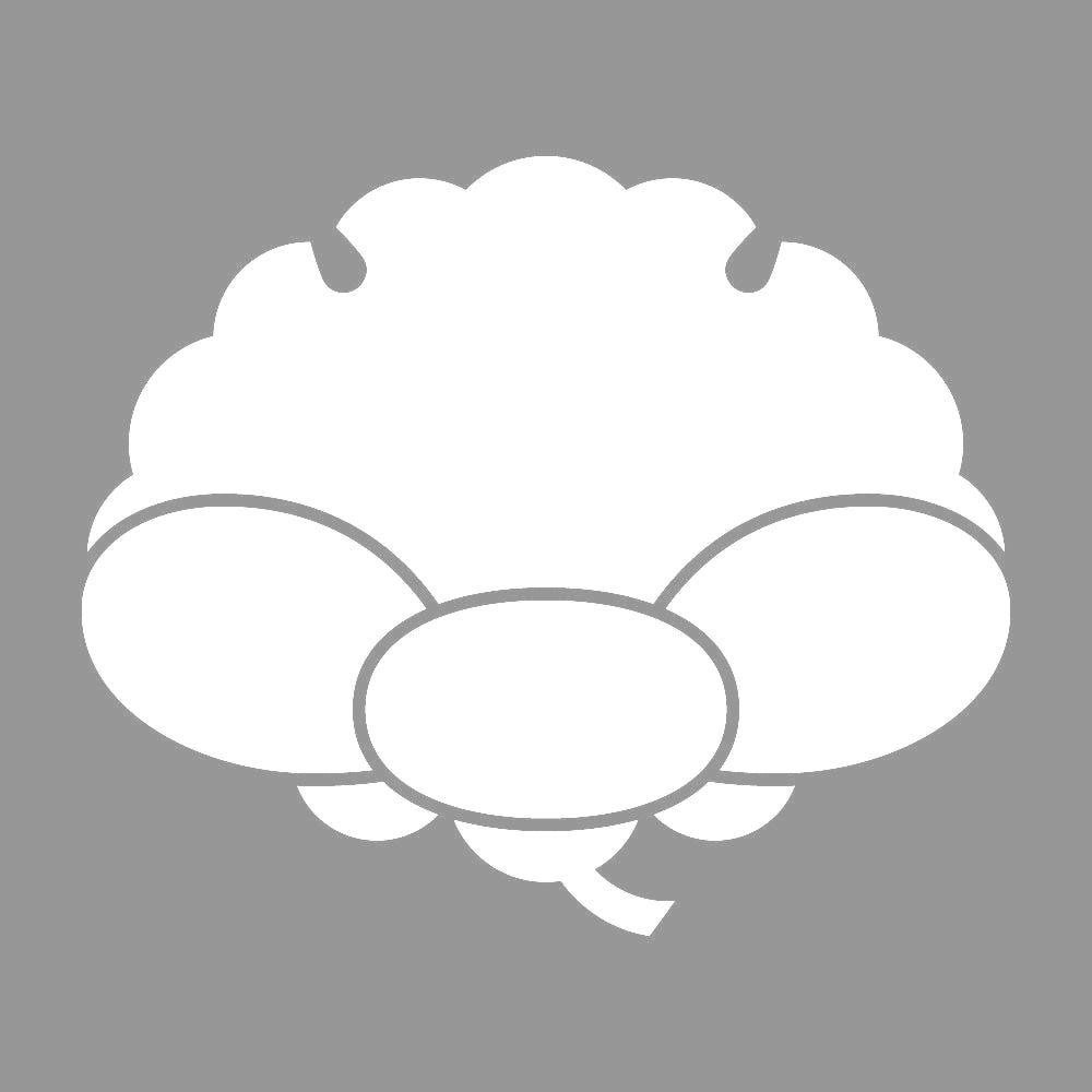 雪持ち横見梅紋 7
