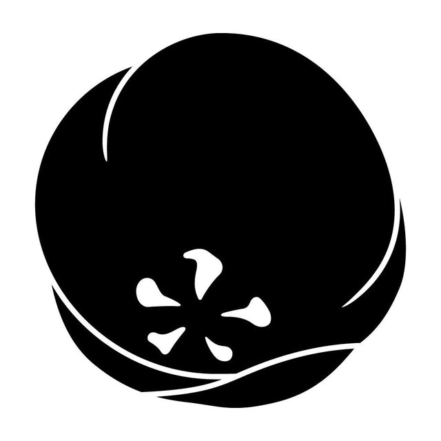 光琳変わり梅紋