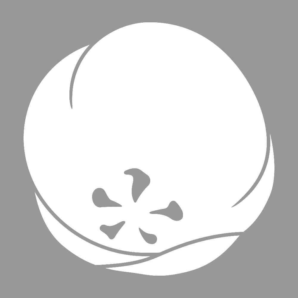 光琳変わり梅紋 7