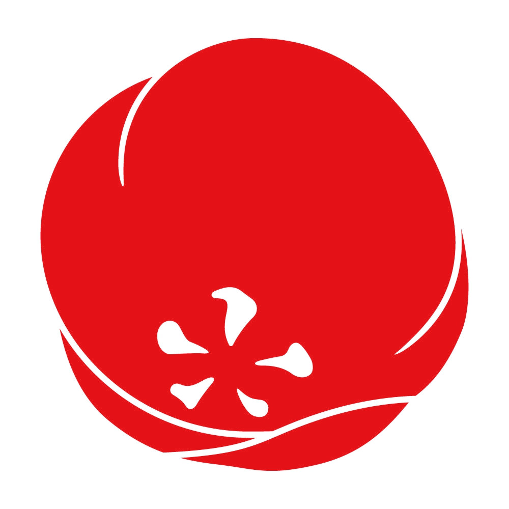 光琳変わり梅紋 8