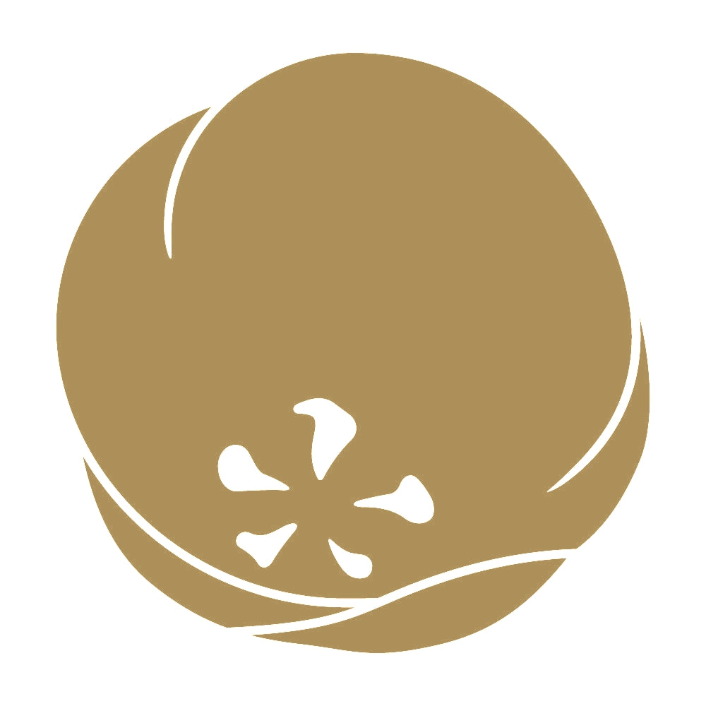 光琳変わり梅紋 9