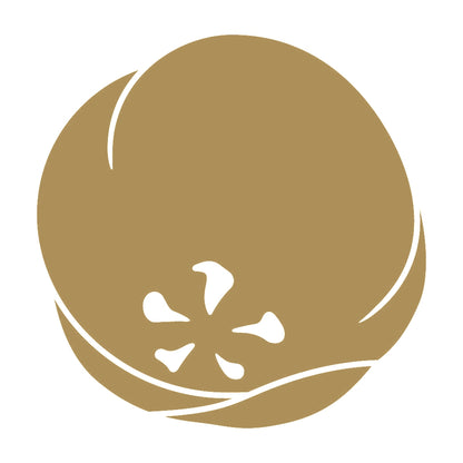 光琳変わり梅紋 9