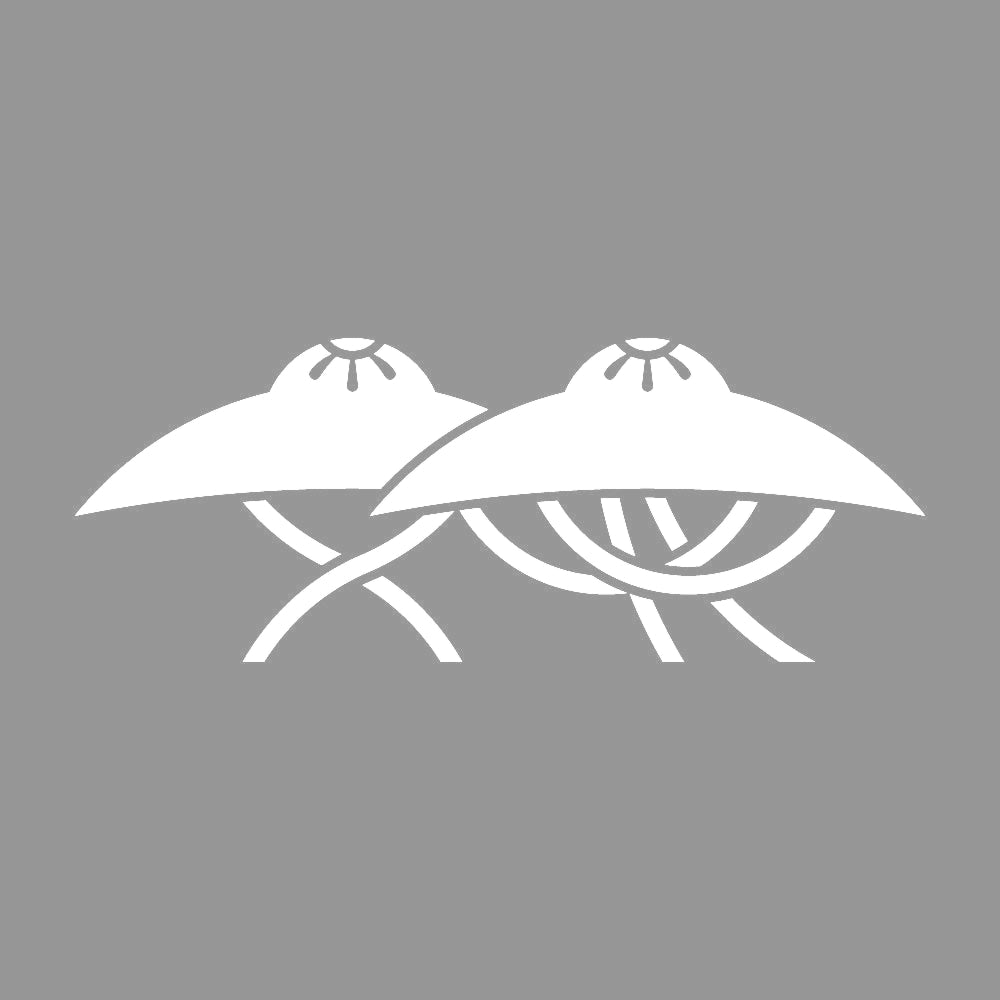 柳生笠紋 7