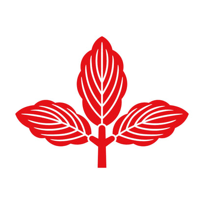 三つ葉柏紋 8