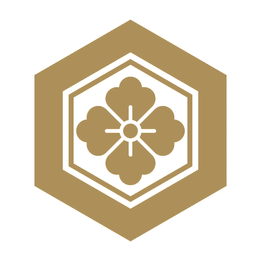 亀甲に花角紋 9