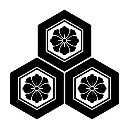 三つ盛り亀甲に剣花角紋