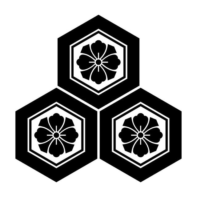 三つ盛り亀甲に剣花角紋
