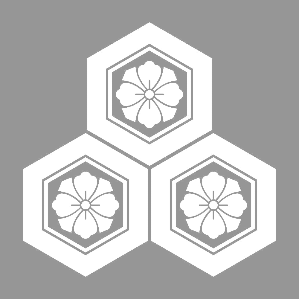 三つ盛り亀甲に剣花角紋 7