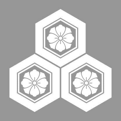 三つ盛り亀甲に剣花角紋 7