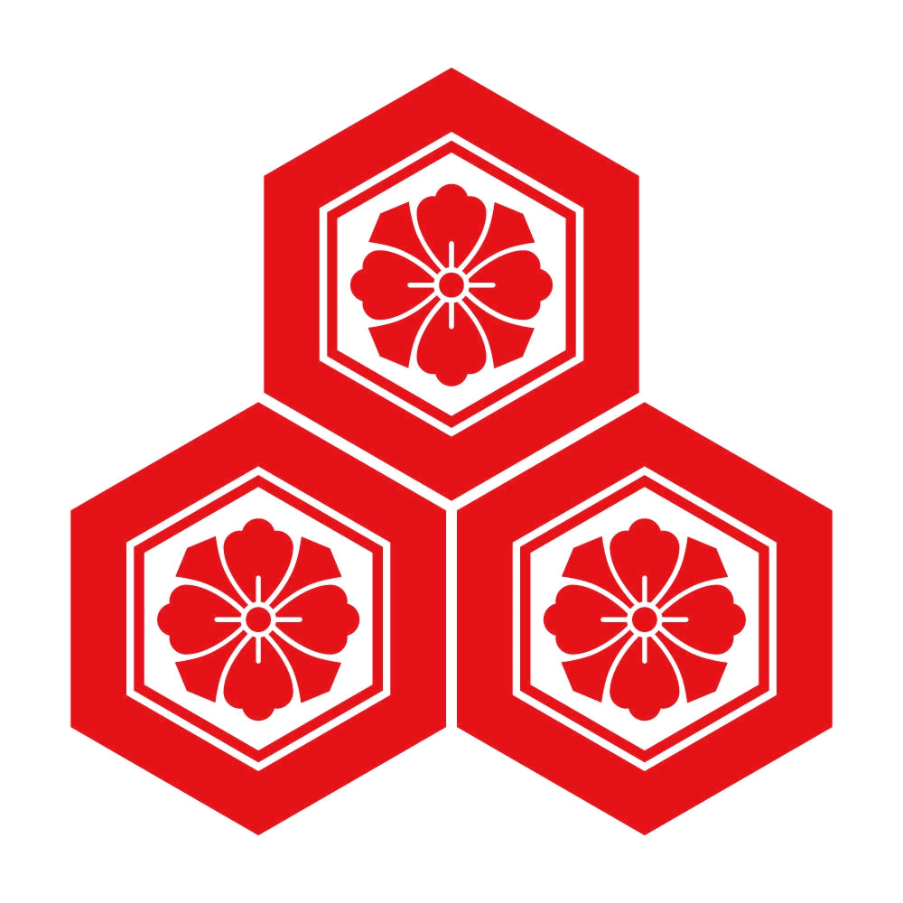三つ盛り亀甲に剣花角紋 8