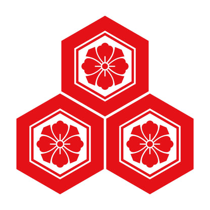 三つ盛り亀甲に剣花角紋 8