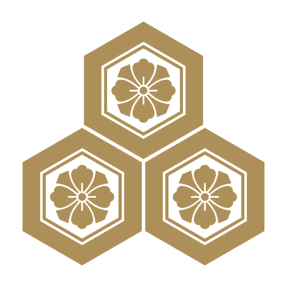 三つ盛り亀甲に剣花角紋 9