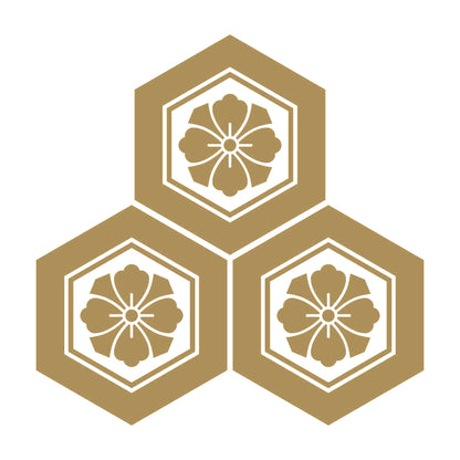 三つ盛り亀甲に剣花角紋 9