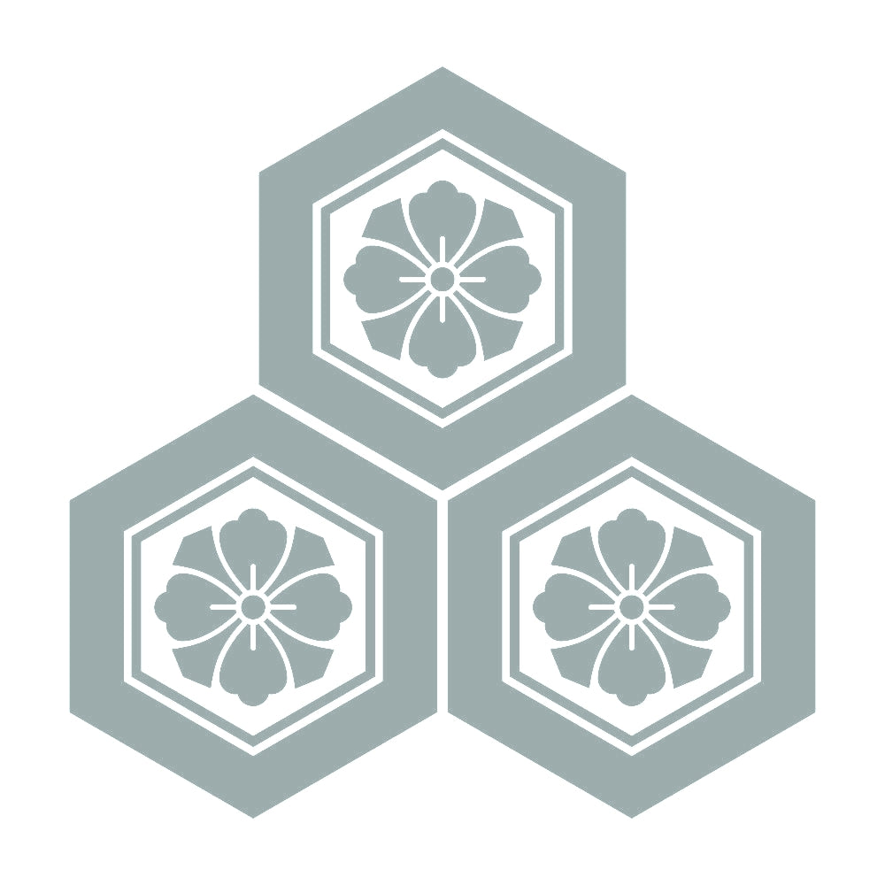 三つ盛り亀甲に剣花角紋 10