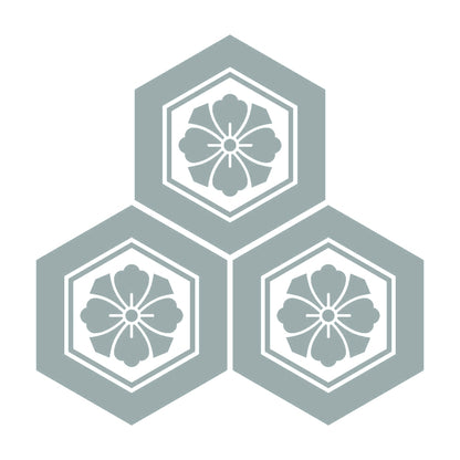 三つ盛り亀甲に剣花角紋 10