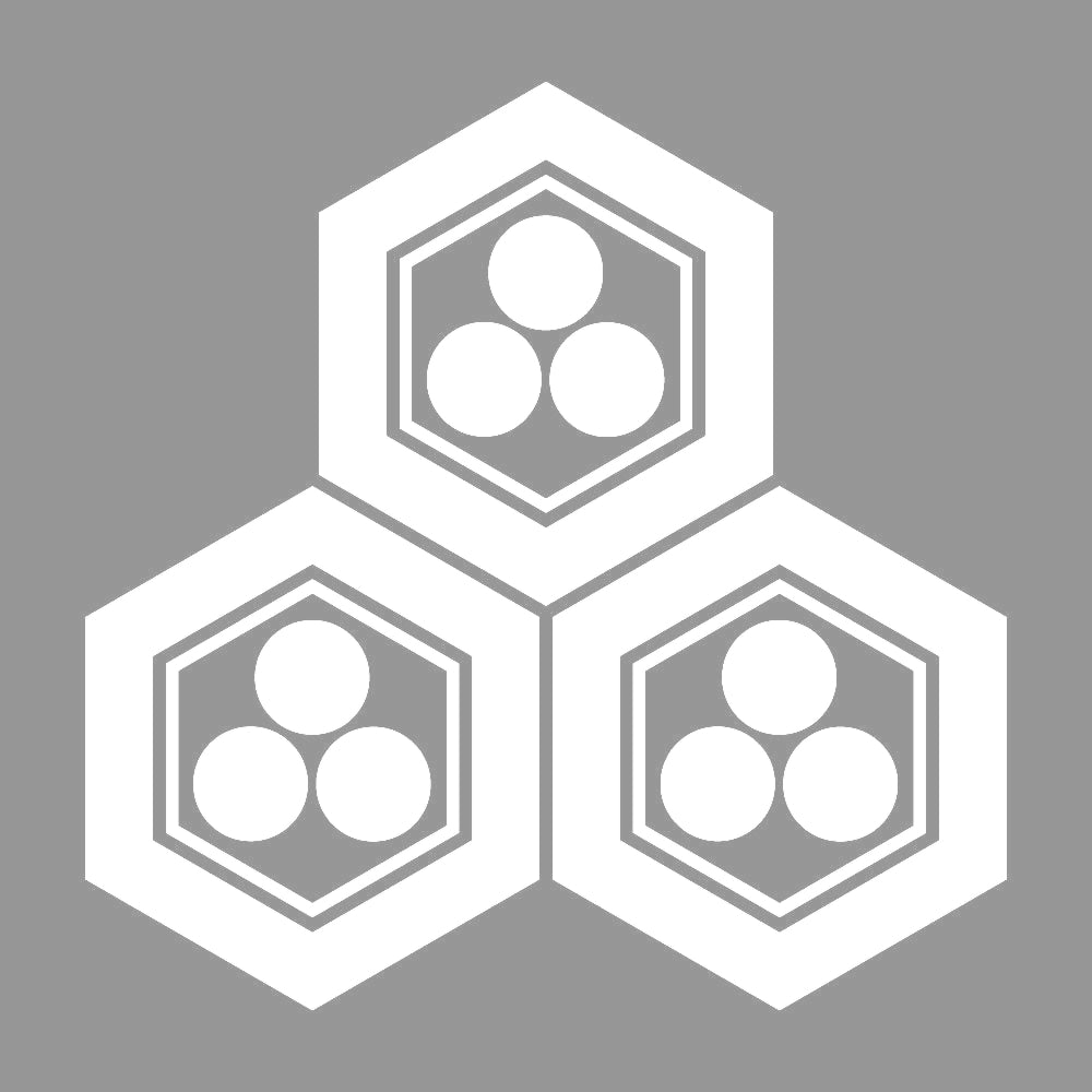 三つ盛り亀甲に三つ星紋 7