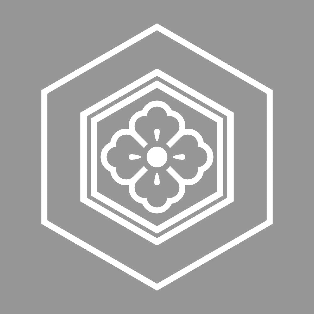 陰亀甲花角紋 7