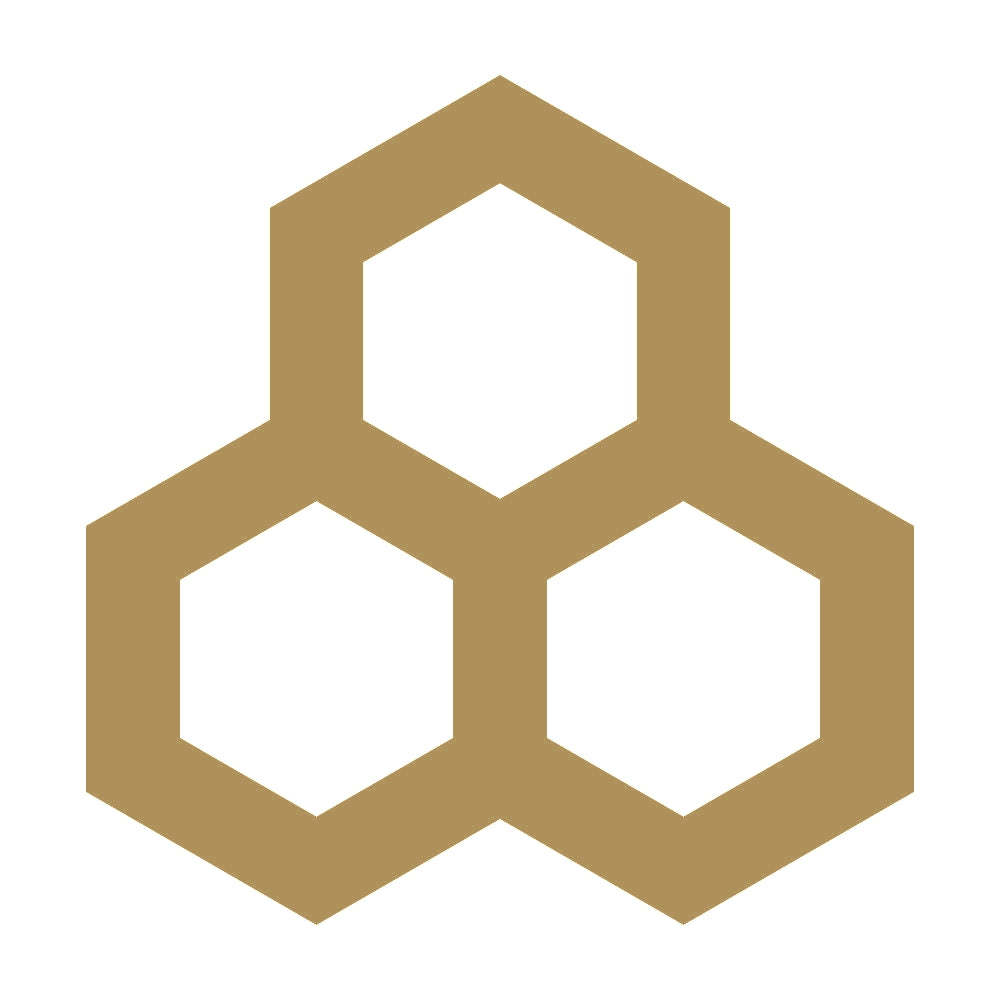 三つ持ち合い一重亀甲紋 9