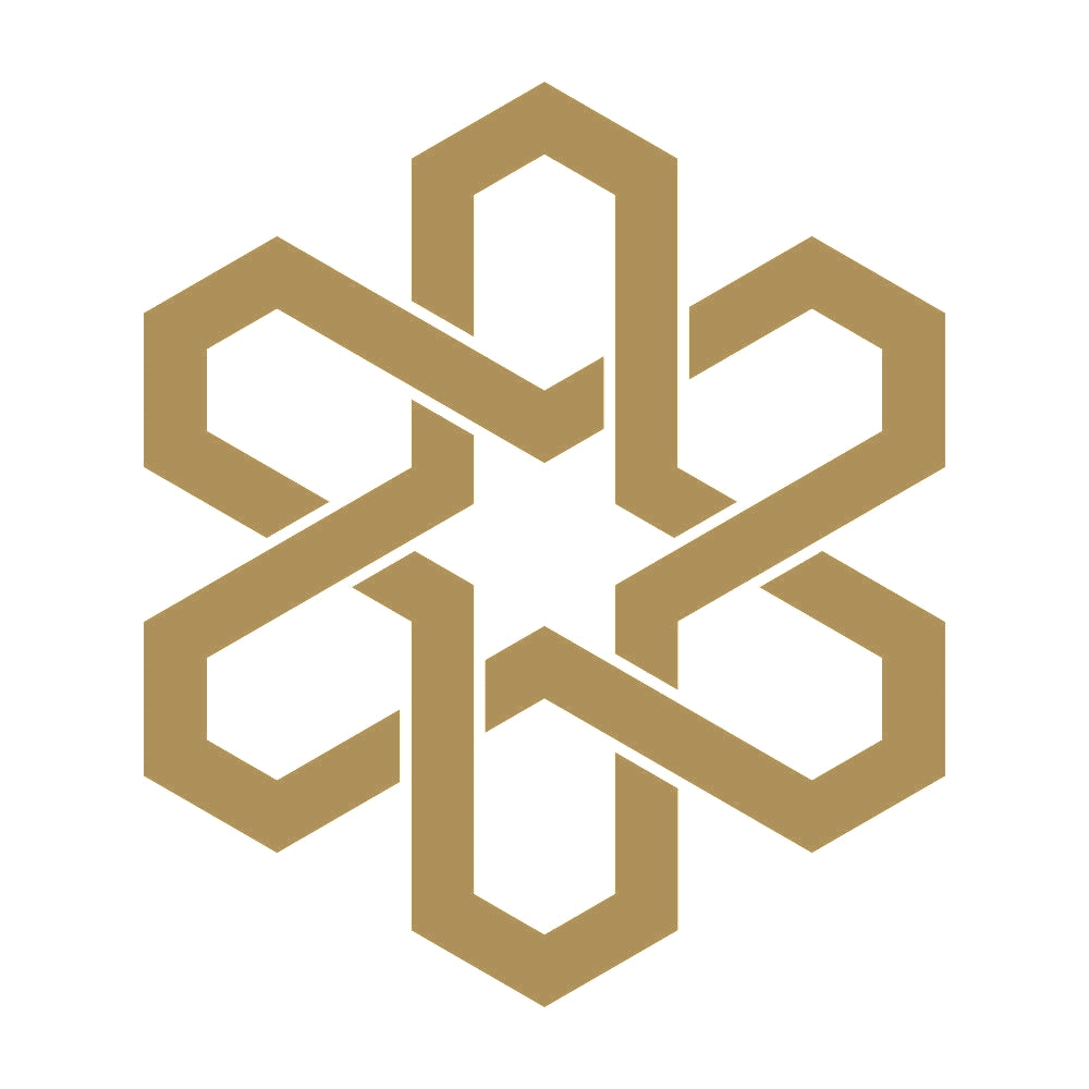 六つ組み合い亀甲紋 9