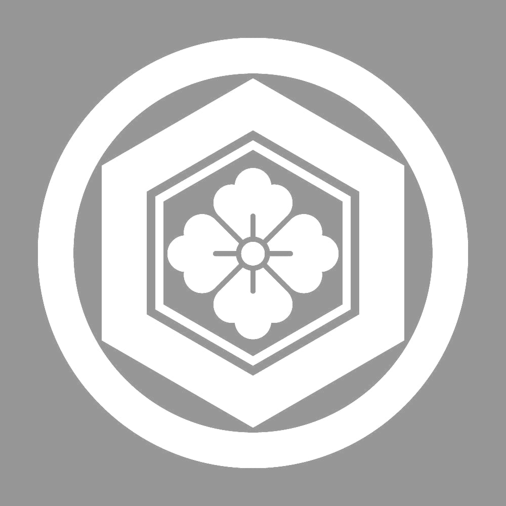 丸に亀甲花角紋 7