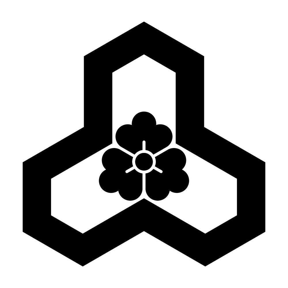 変わり花亀甲紋