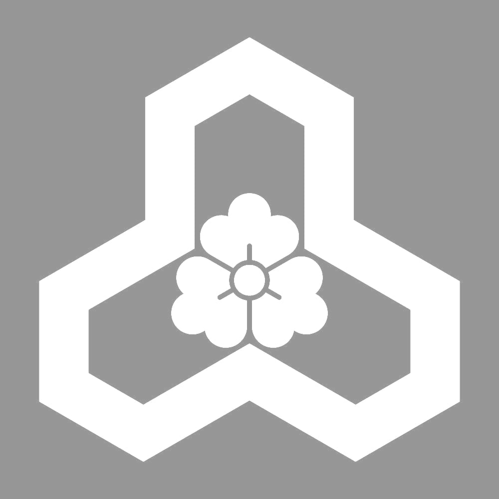 変わり花亀甲紋 7