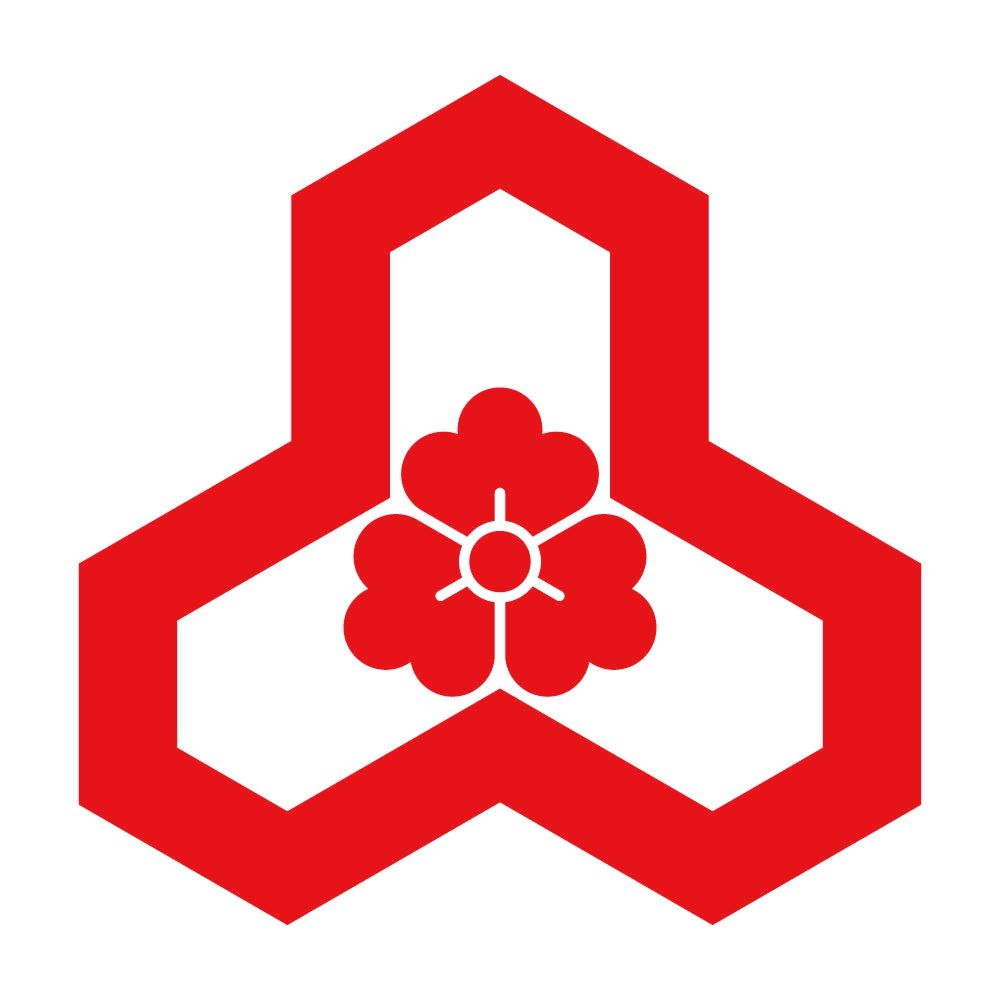 変わり花亀甲紋 8