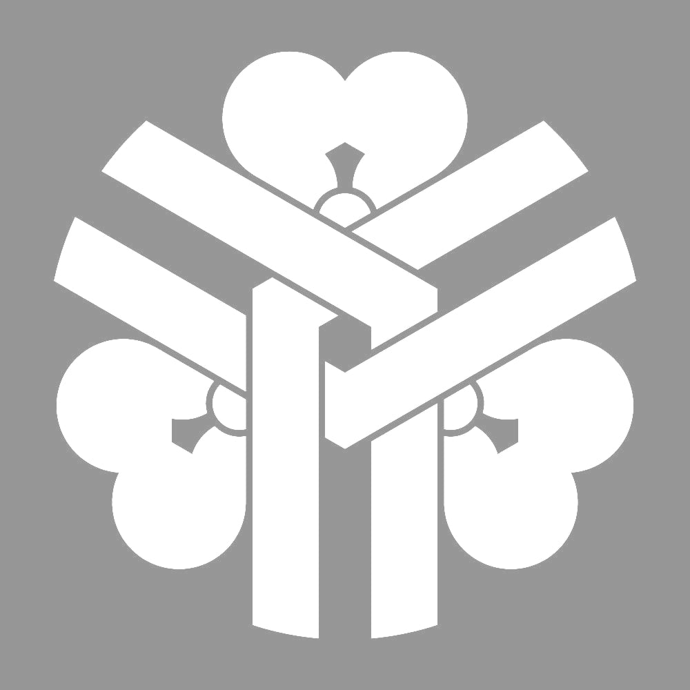 花亀甲崩し紋 7