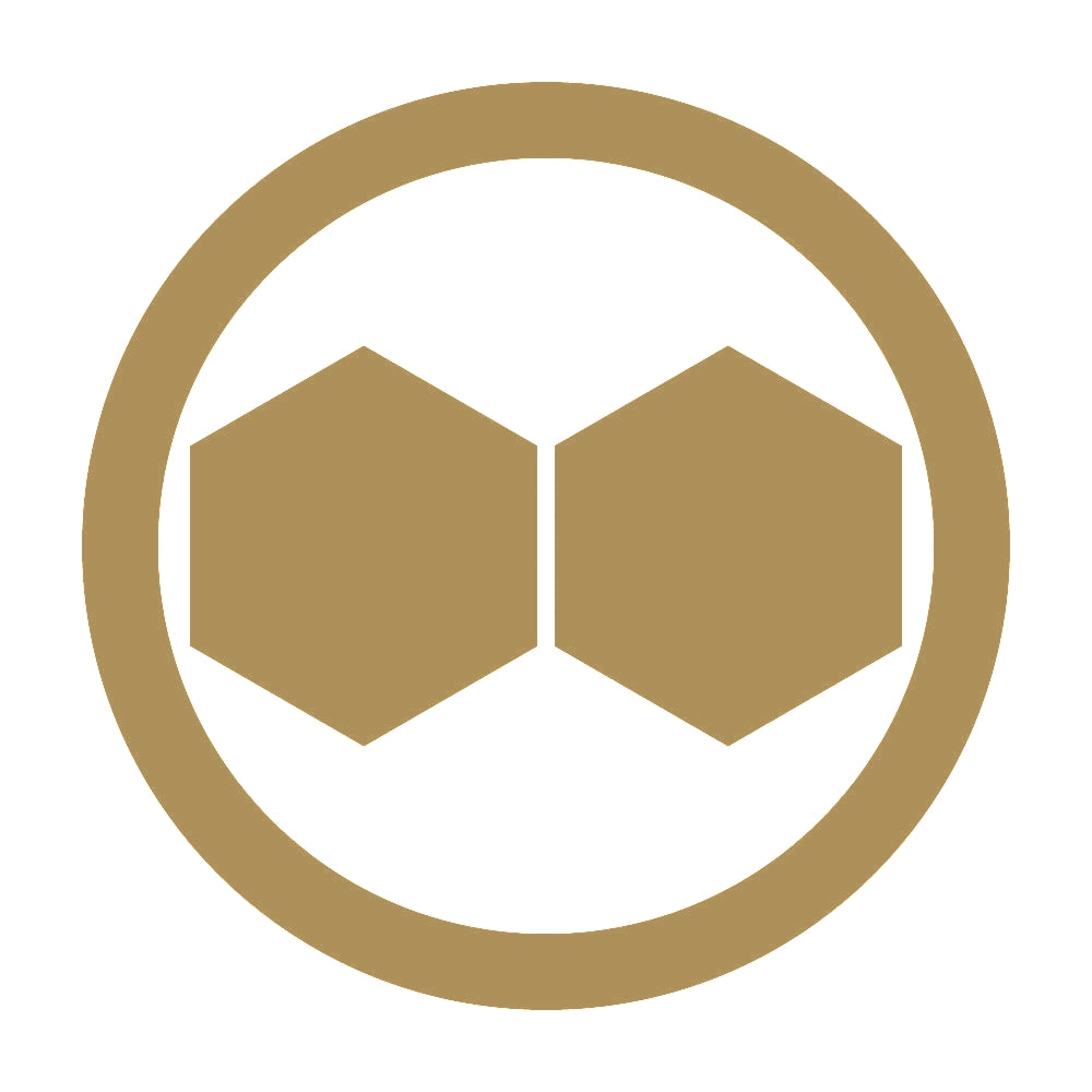 丸に並び日向亀甲紋 9