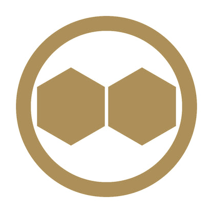 丸に並び日向亀甲紋 9