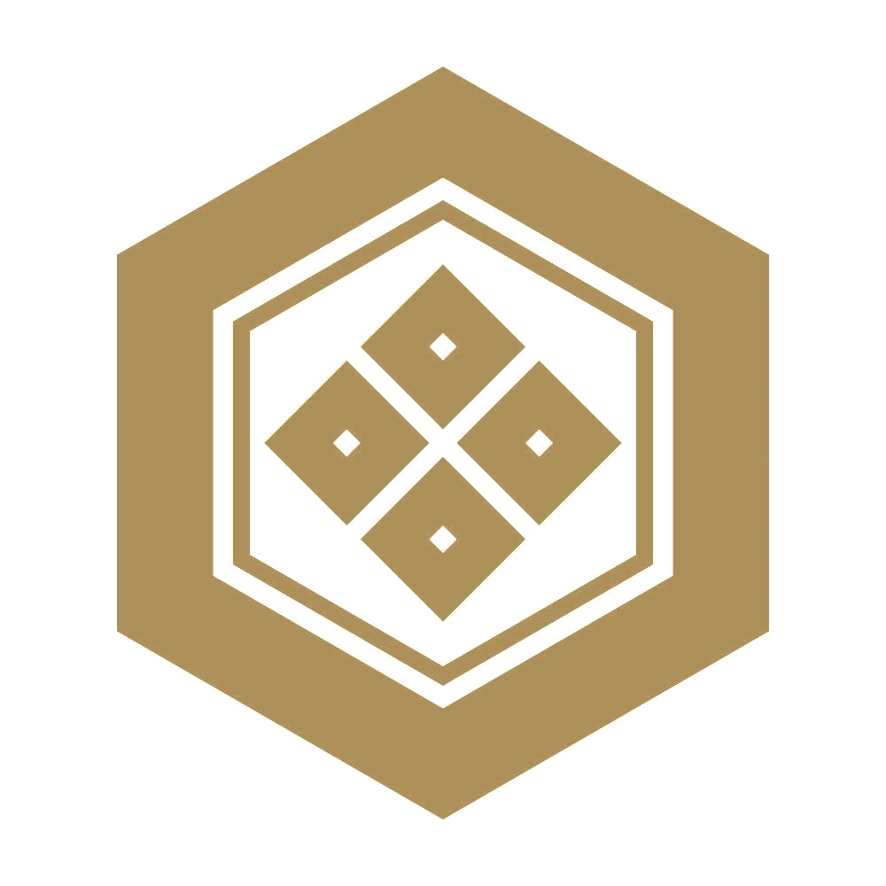 亀甲に四つ目紋 9