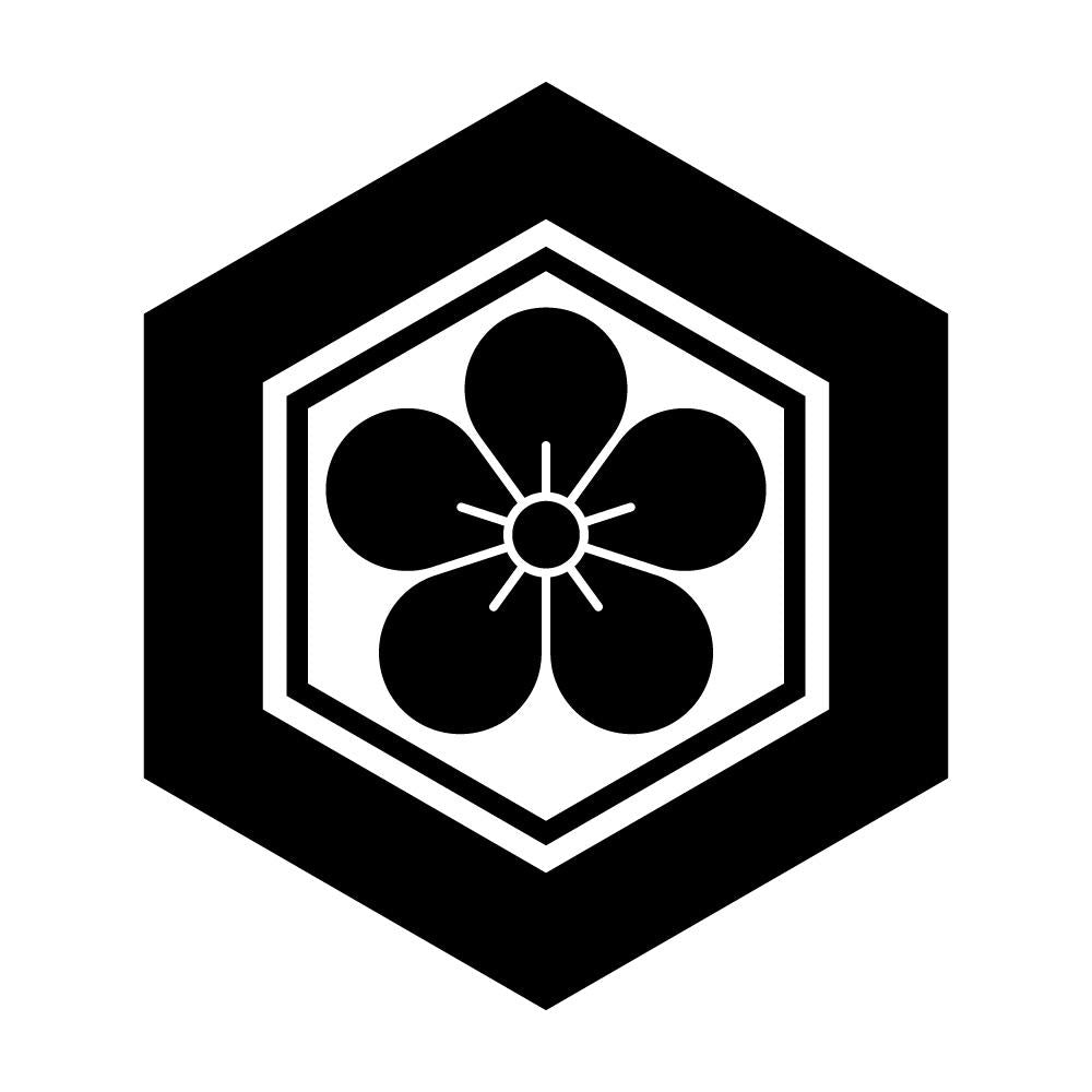 亀甲に梅花紋