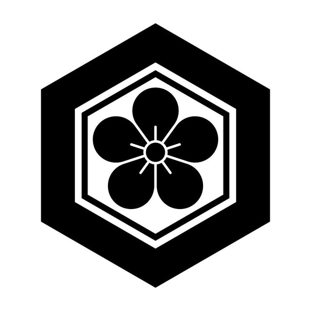 亀甲に梅花紋