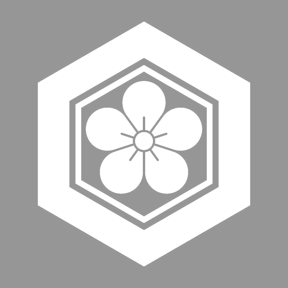 亀甲に梅花紋 7