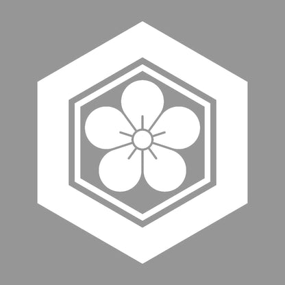 亀甲に梅花紋 7