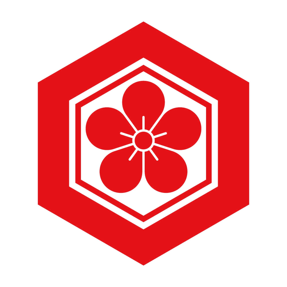 亀甲に梅花紋 8
