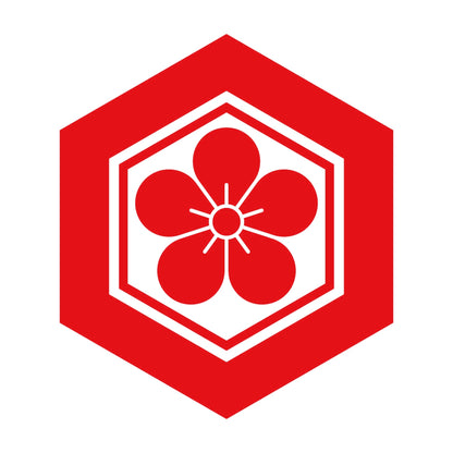 亀甲に梅花紋 8