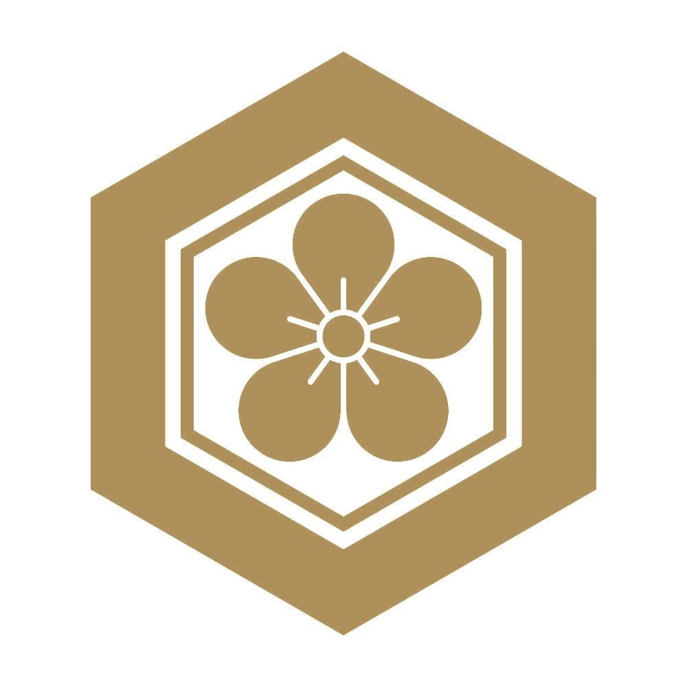 亀甲に梅花紋 9