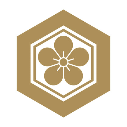 亀甲に梅花紋 9